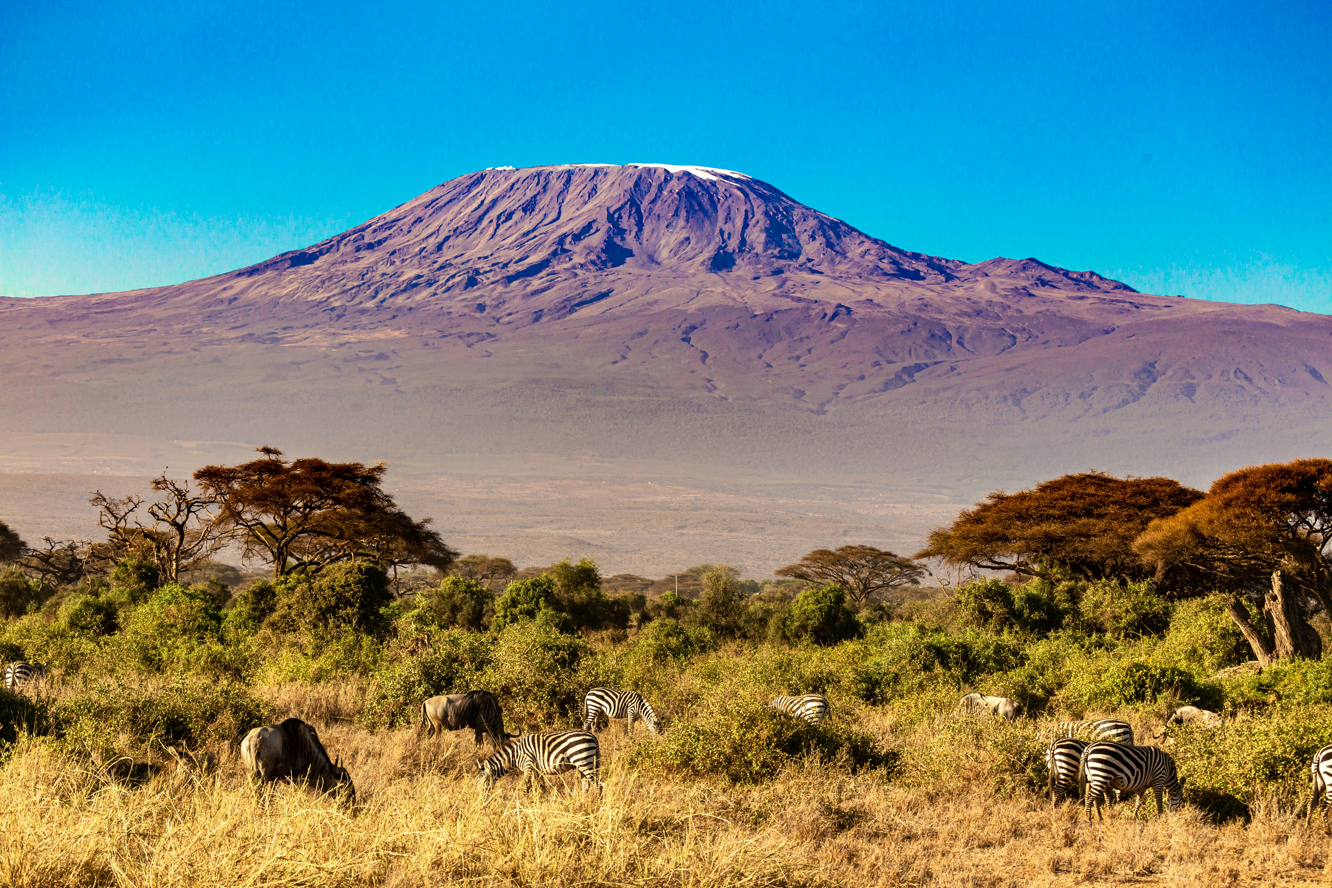 Kilimanjaro